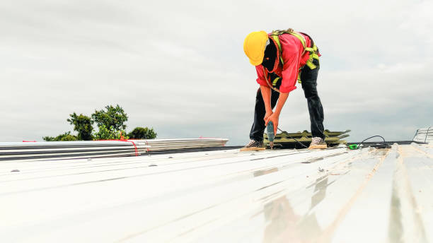 Best Sheet Metal Roofing  in Kensington, NY